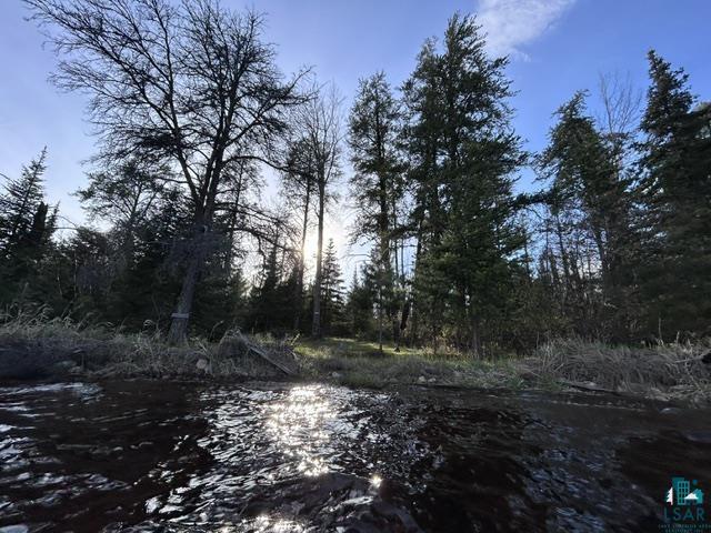 Tbd Tbd Moonlit Island Makinen, MN 55763 - Photo 5 of 23