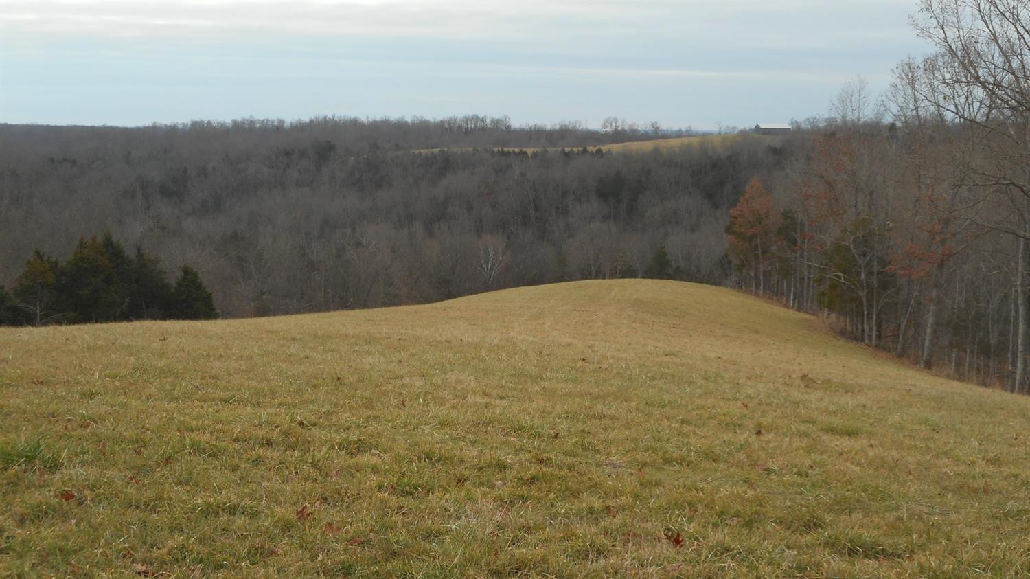 3 Ogden Ridge Road Mount Olivet, KY 41064 - Photo 2 of 6 Photo 2