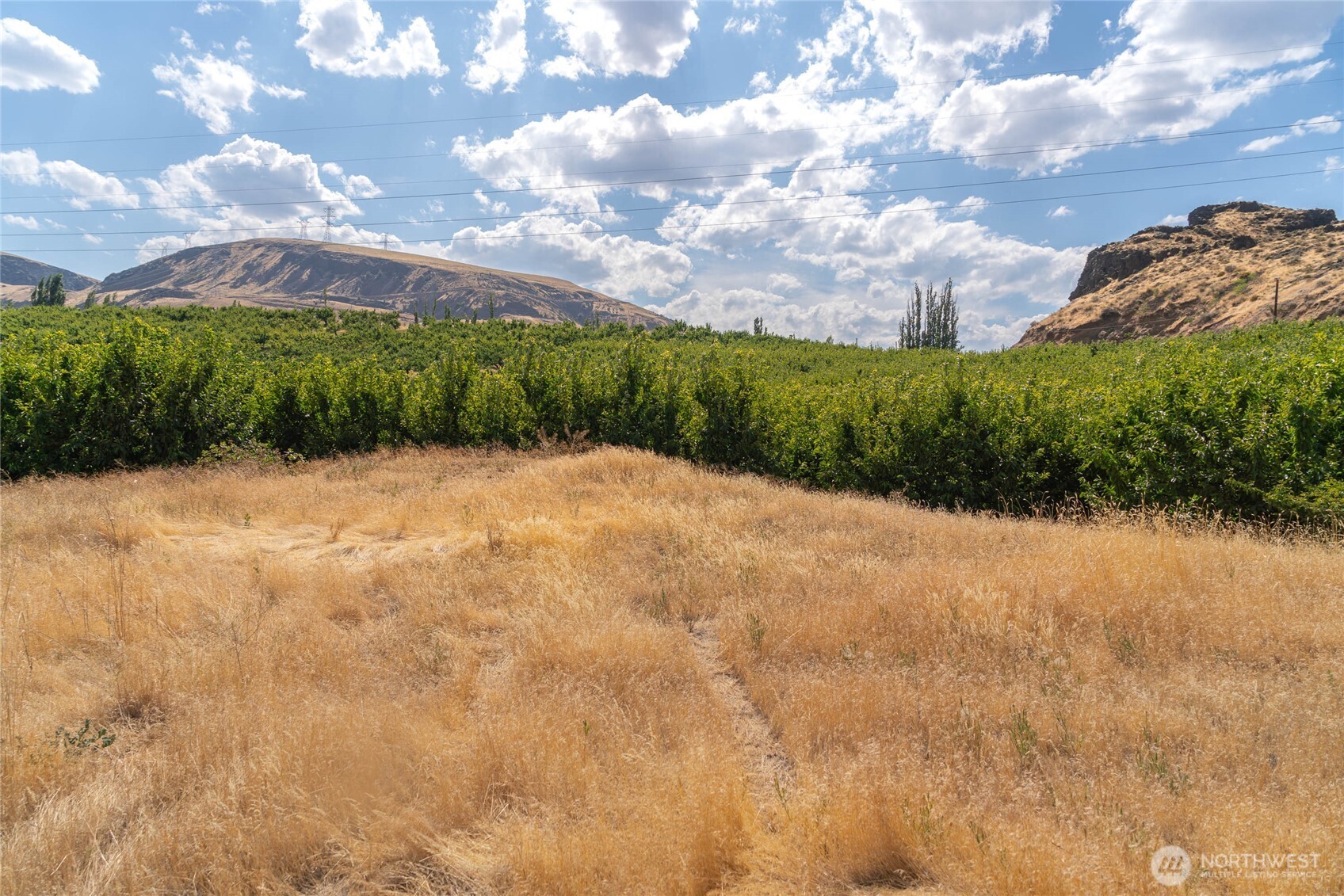 5 Tarpiscan Road Malaga, WA 98828 - Photo 12 of 15 Gallery Image 12