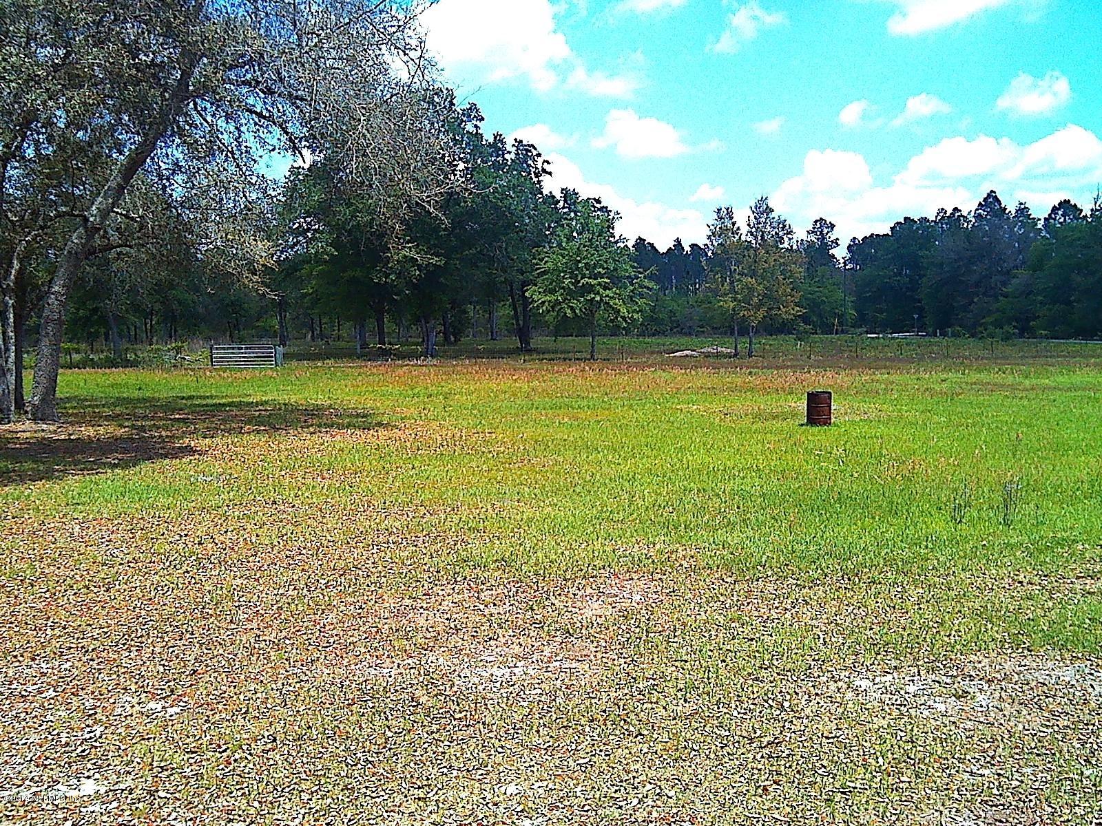 10283 Tamahaw Road Sanderson, FL 32087 - Photo 12 of 14 backyard
