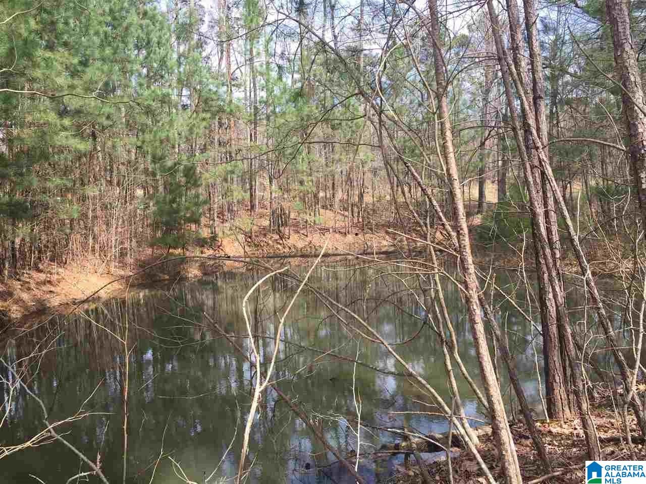7465 Rodgers Road Southwest Leeds, AL 35094 - Photo 5 of 25