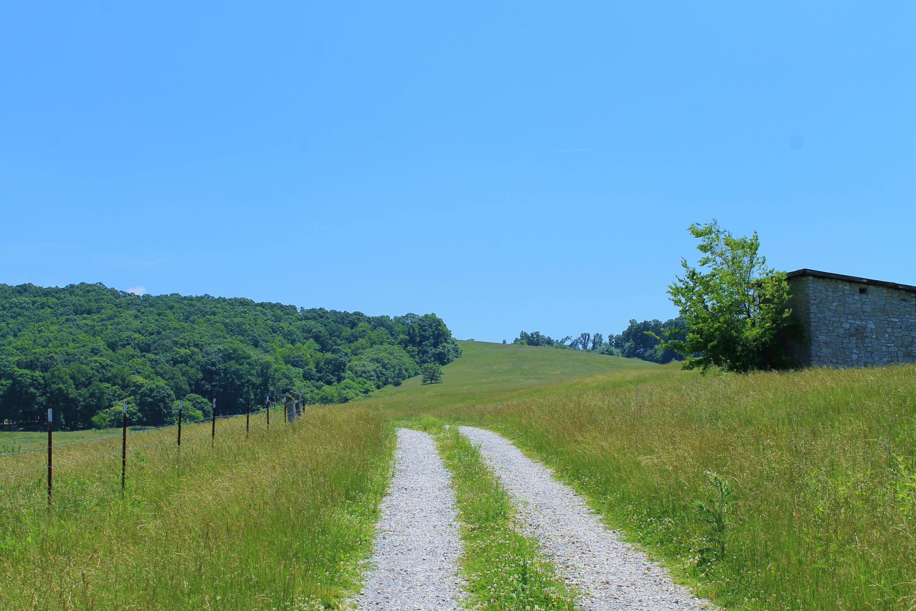847 County House Road Rutledge, TN 37861 - Photo 21 of 37 IMG_2206