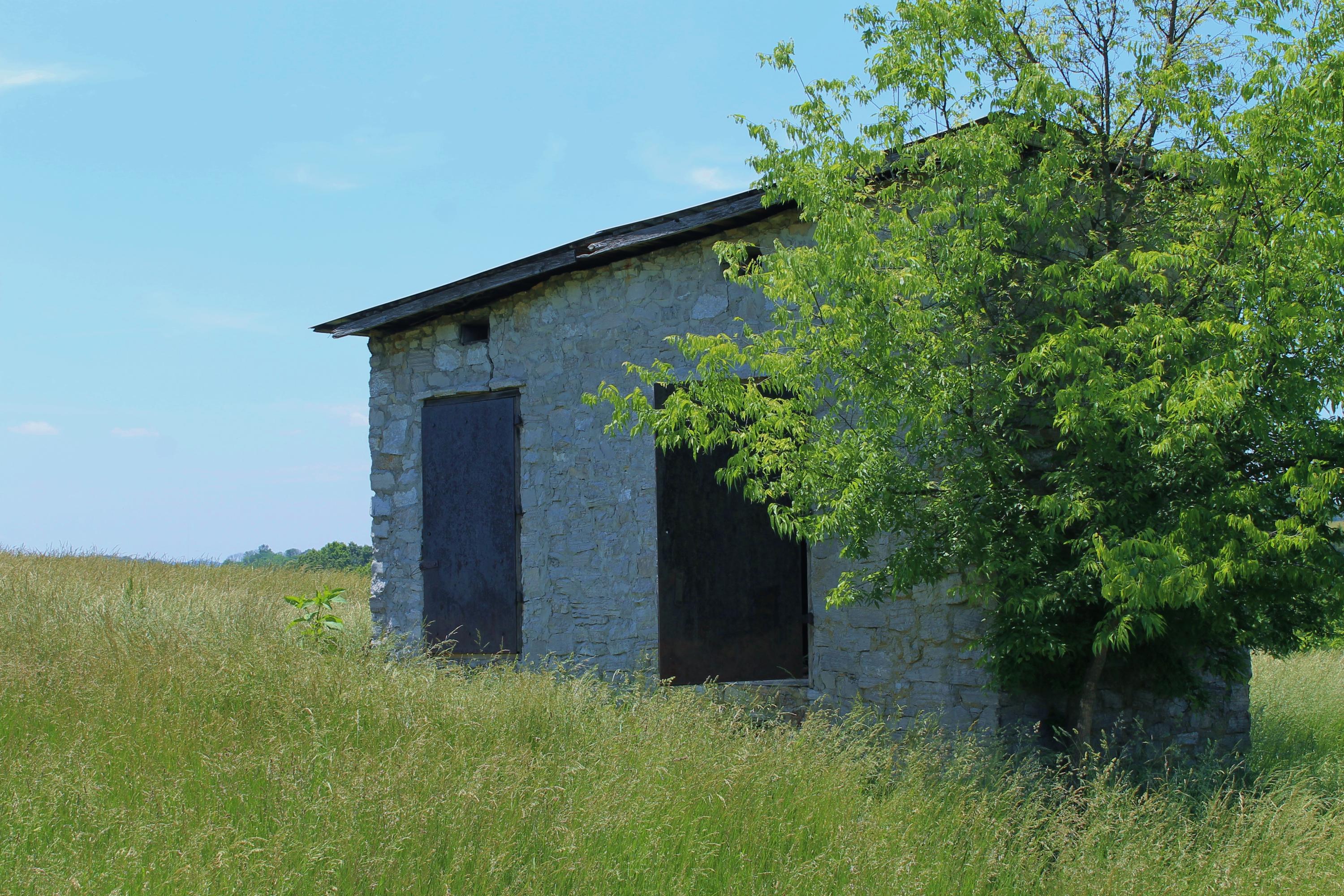 847 County House Road Rutledge, TN 37861 - Photo 22 of 37 IMG_2208