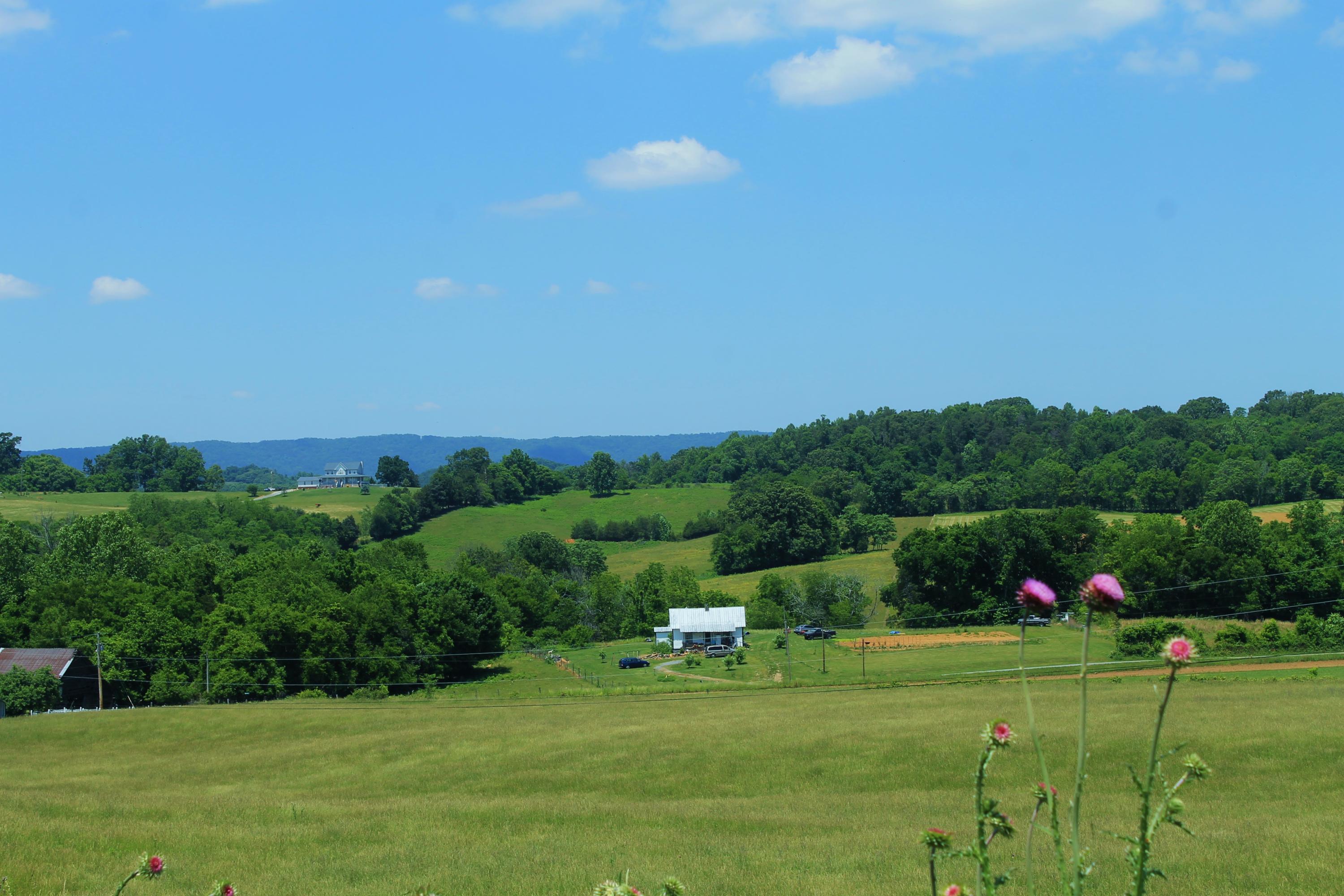 847 County House Road Rutledge, TN 37861 - Photo 24 of 37 IMG_2210