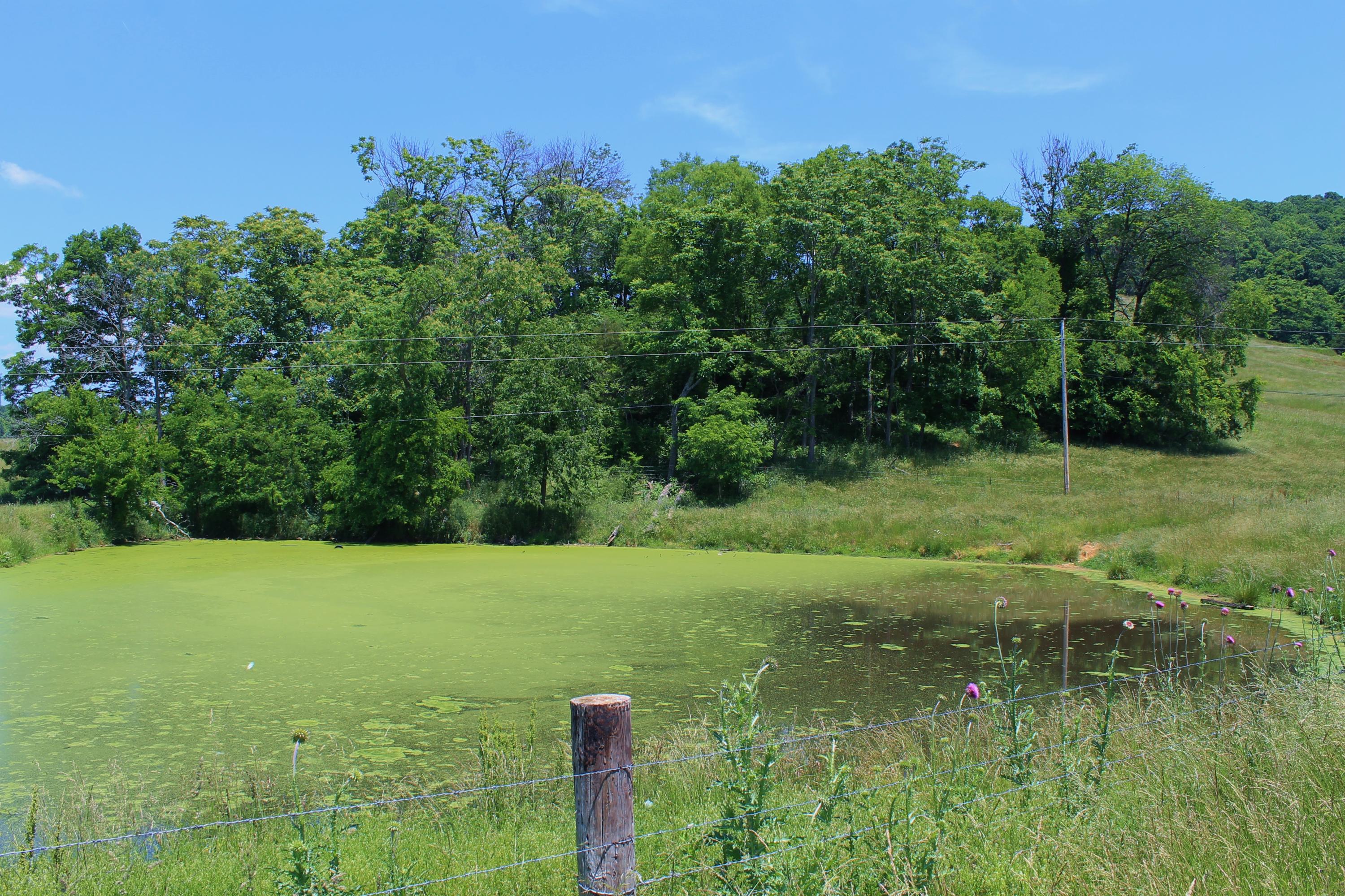 847 County House Road Rutledge, TN 37861 - Photo 26 of 37 IMG_2212