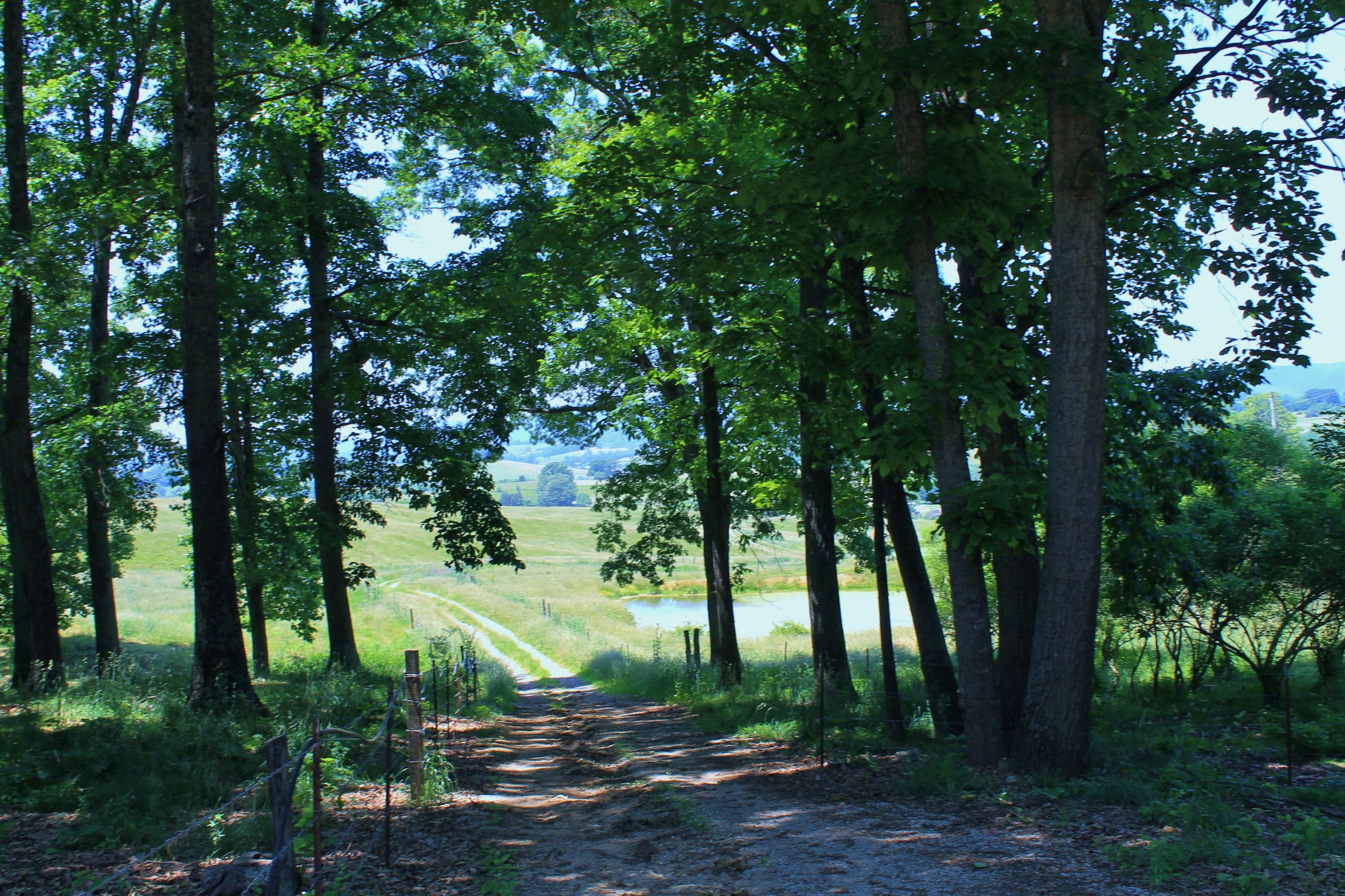847 County House Road Rutledge, TN 37861 - Photo 31 of 37 IMG_2218
