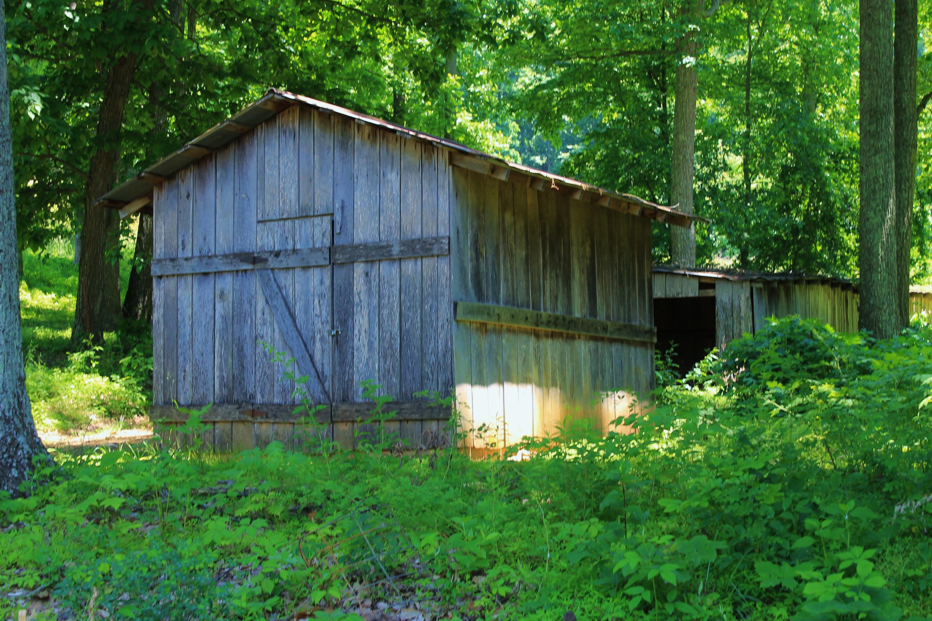 847 County House Road Rutledge, TN 37861 - Photo 32 of 37 IMG_2224
