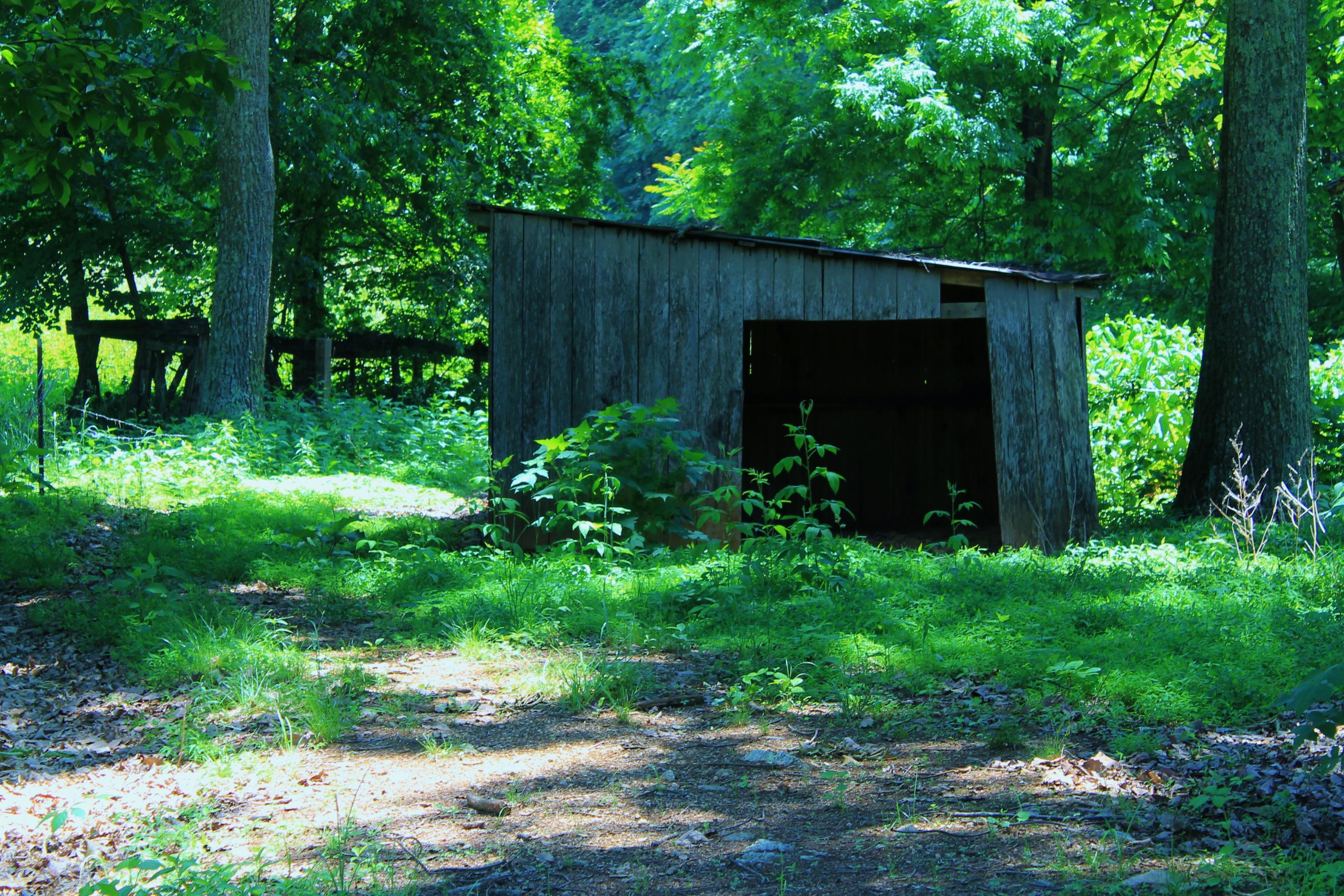 847 County House Road Rutledge, TN 37861 - Photo 33 of 37 IMG_2225