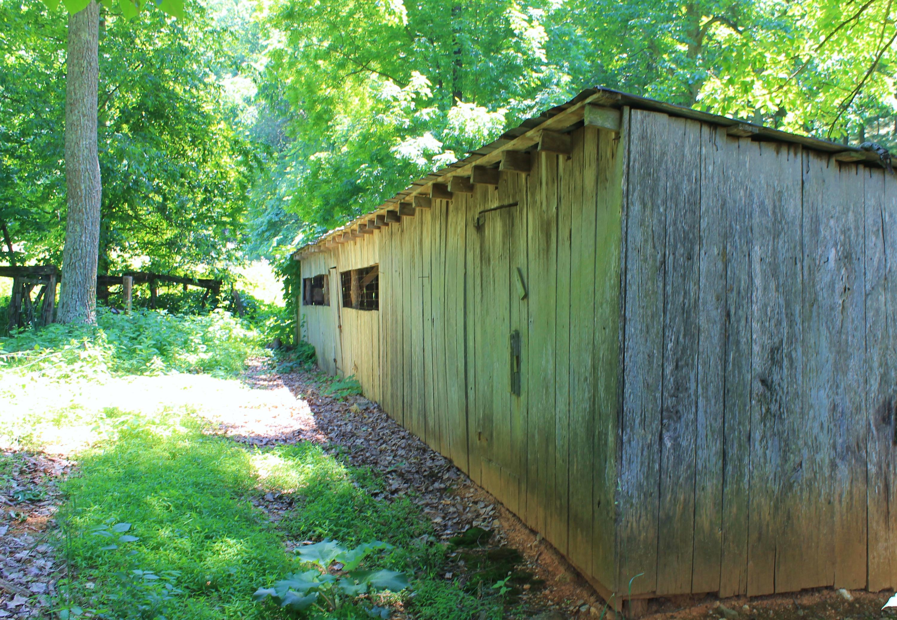 847 County House Road Rutledge, TN 37861 - Photo 34 of 37 IMG_2227