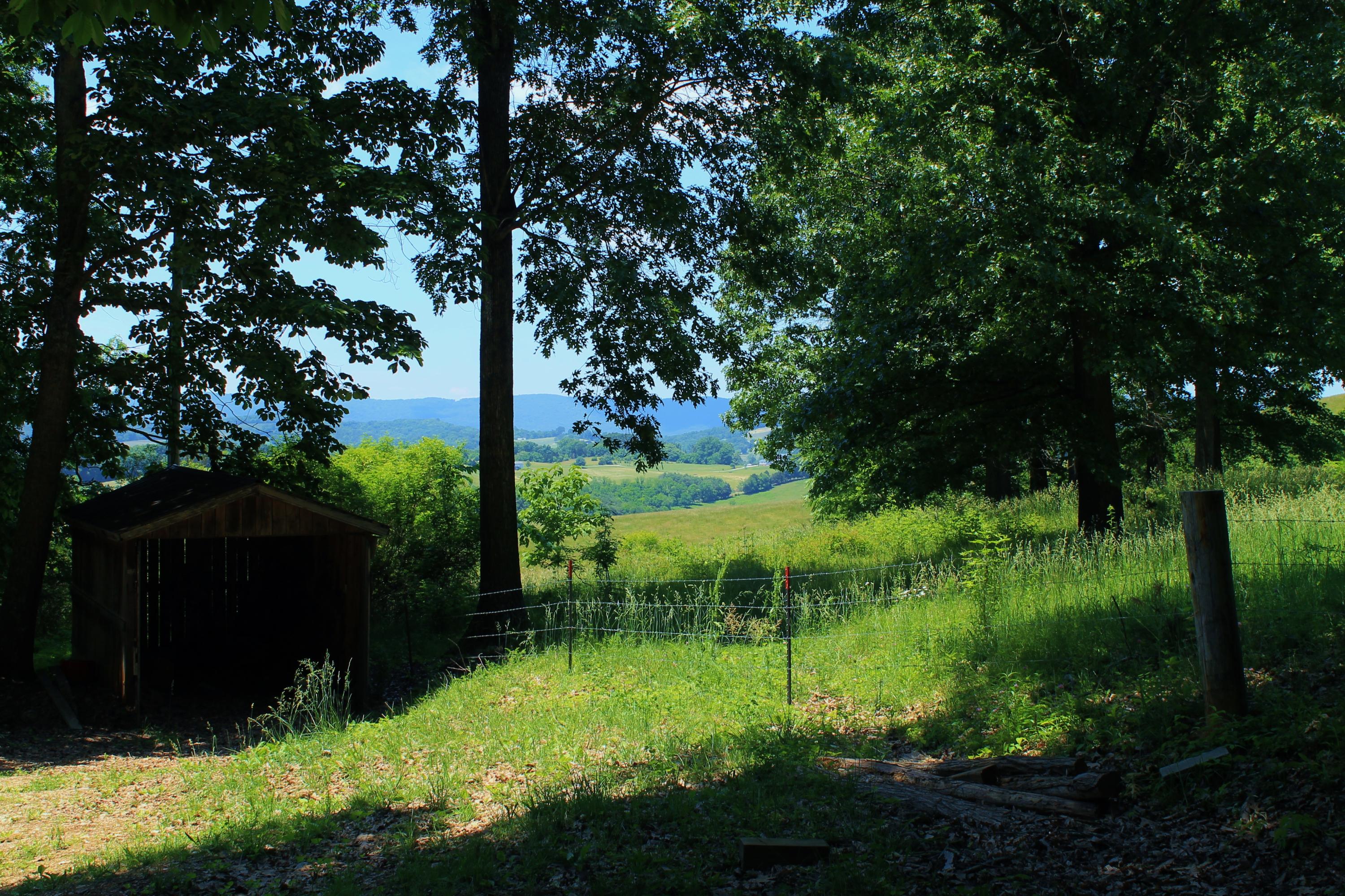 847 County House Road Rutledge, TN 37861 - Photo 35 of 37 IMG_2229