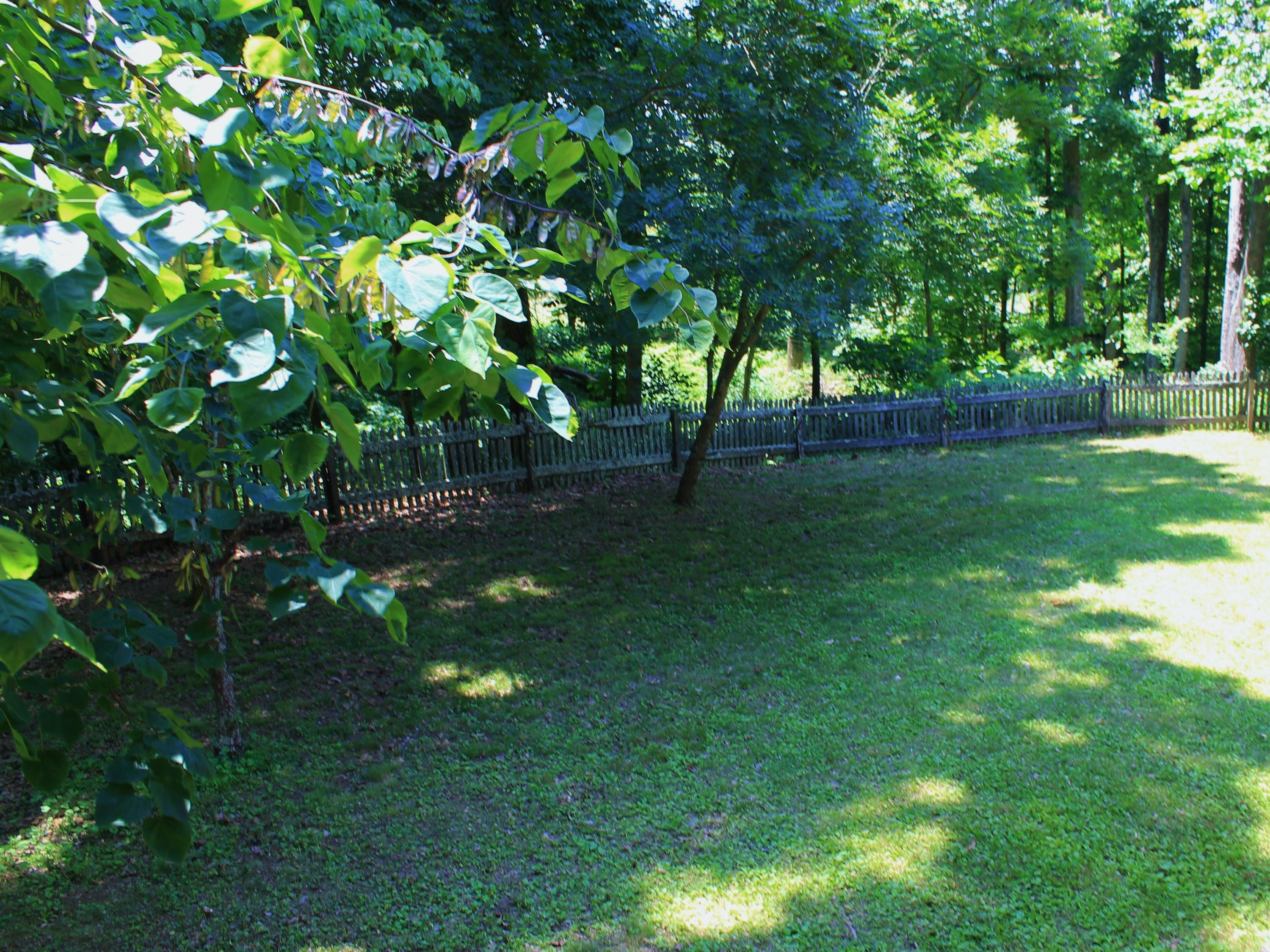 847 County House Road Rutledge, TN 37861 - Photo 36 of 37 IMG_2234