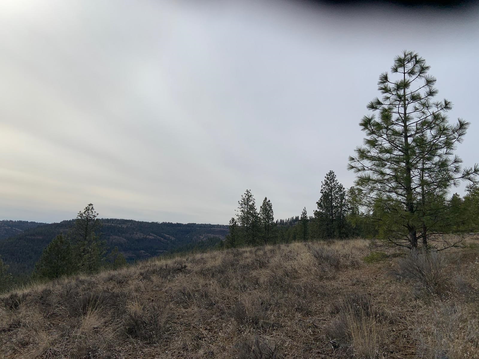 31805 Ruffed Grouse Drive Davenport, WA 99122 - Photo 12 of 29