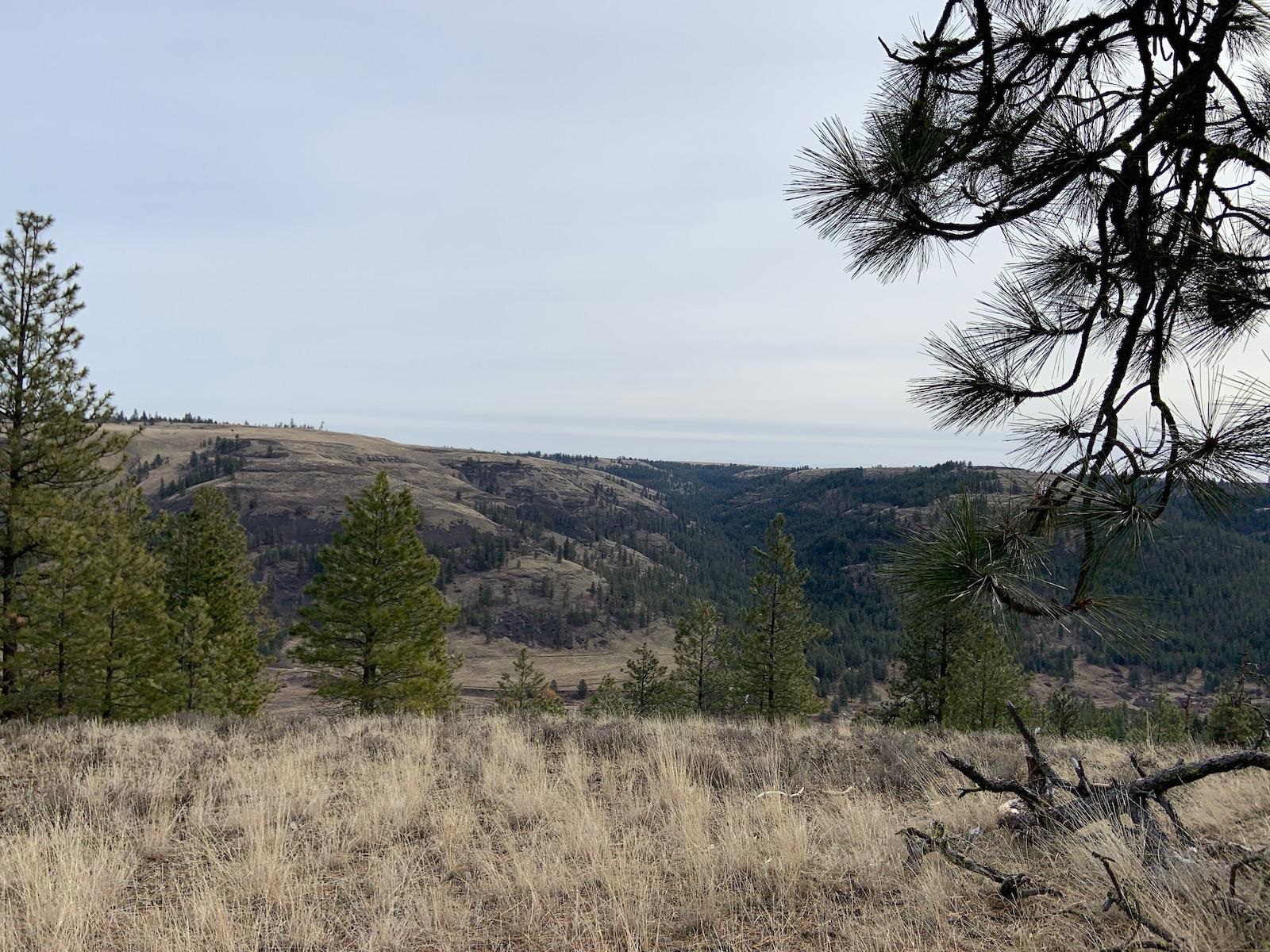 31805 Ruffed Grouse Drive Davenport, WA 99122 - Photo 14 of 29