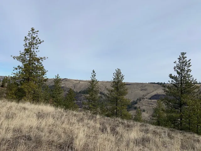 $92,500 | 31805 Ruffed Grouse Drive, Davenport, WA 99122