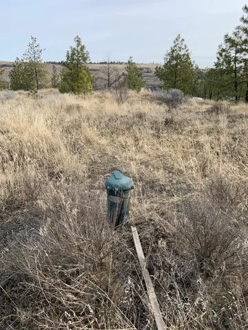 $92,500 | 31805 Ruffed Grouse Drive, Davenport, WA 99122