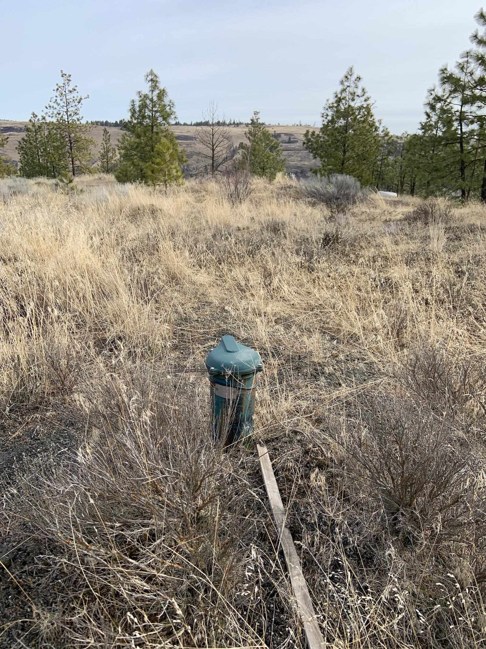 31805 Ruffed Grouse Drive Davenport, WA 99122 - Photo 17 of 29