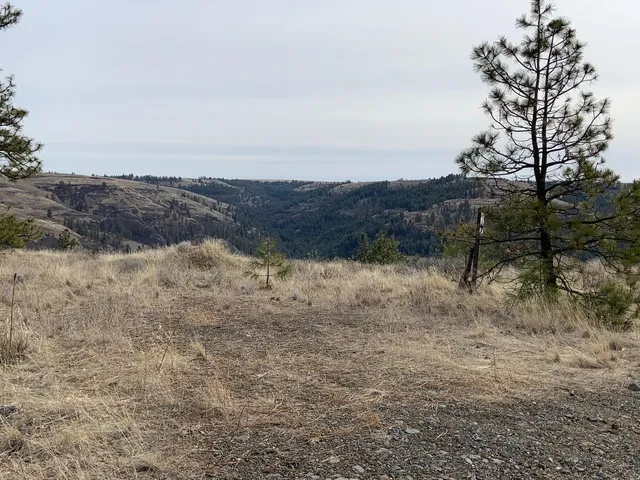 $92,500 | 31805 Ruffed Grouse Drive, Davenport, WA 99122