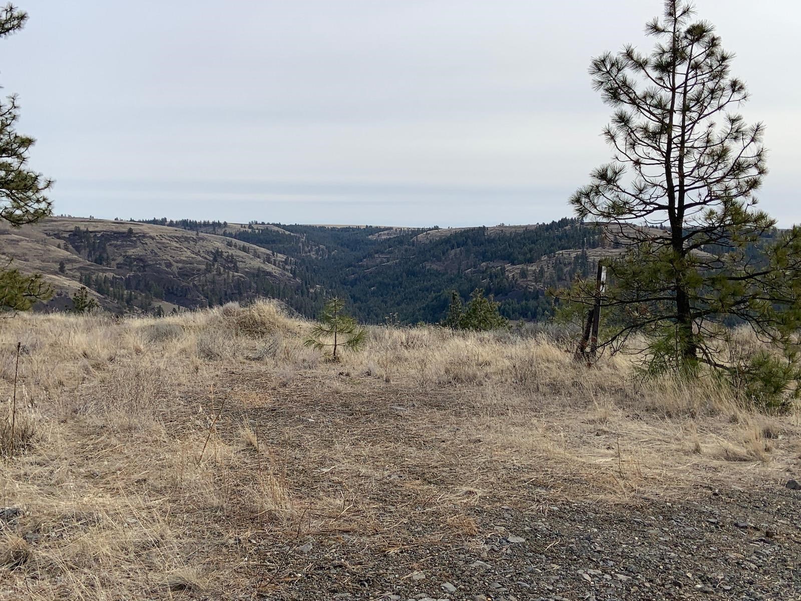 31805 Ruffed Grouse Drive Davenport, WA 99122 - Photo 3 of 29