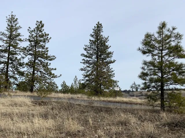 $92,500 | 31805 Ruffed Grouse Drive, Davenport, WA 99122