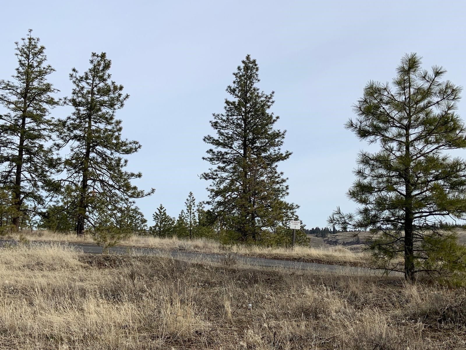 31805 Ruffed Grouse Drive Davenport, WA 99122 - Photo 4 of 29