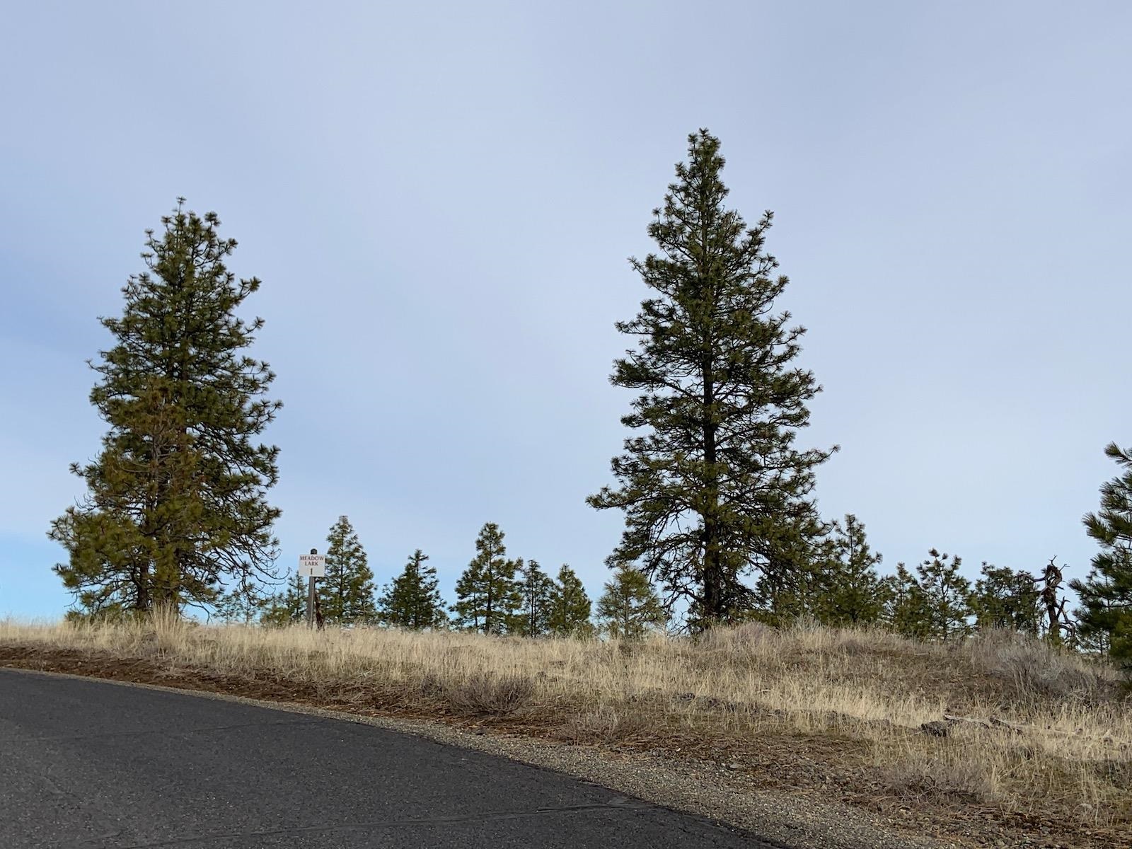 31805 Ruffed Grouse Drive Davenport, WA 99122 - Photo 5 of 29