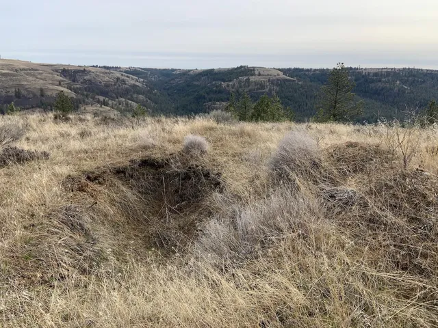 $92,500 | 31805 Ruffed Grouse Drive, Davenport, WA 99122