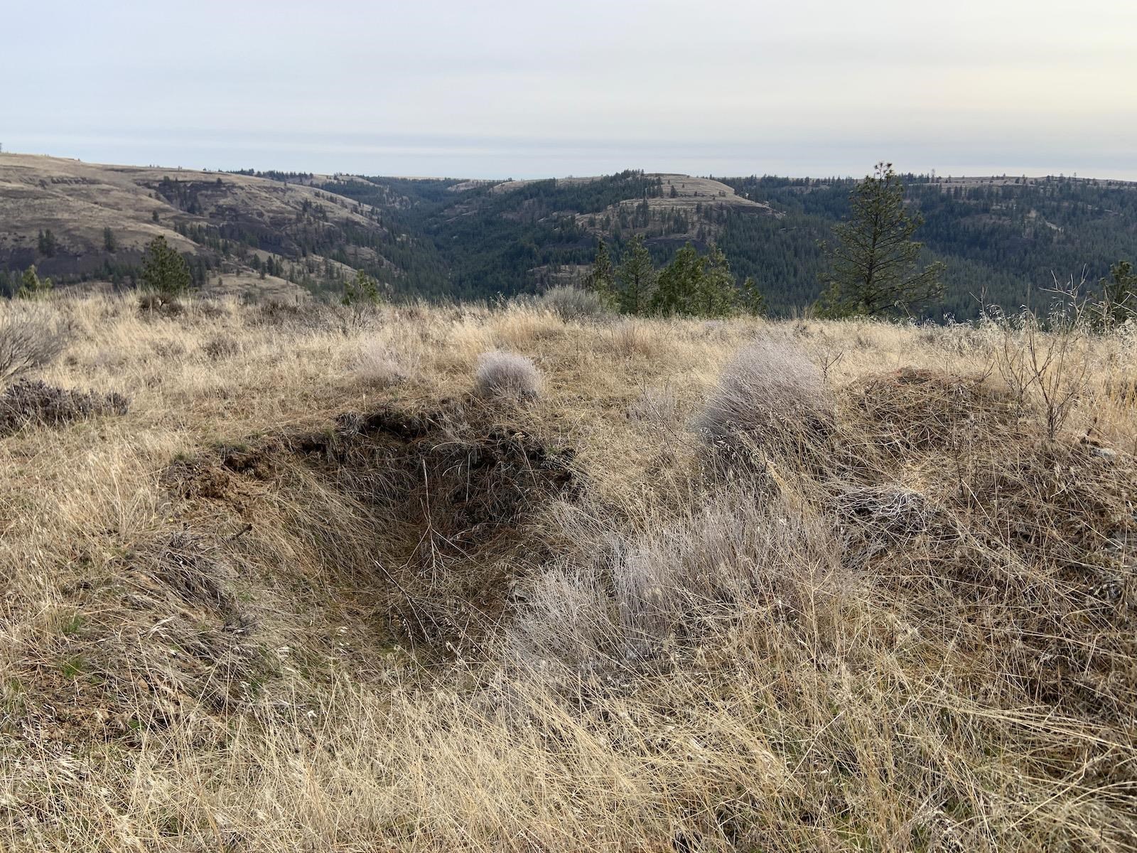 31805 Ruffed Grouse Drive Davenport, WA 99122 - Photo 7 of 29