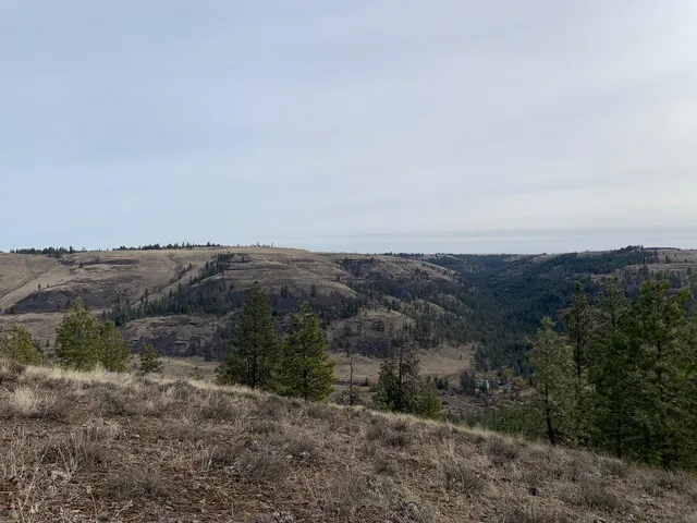 $92,500 | 31805 Ruffed Grouse Drive, Davenport, WA 99122