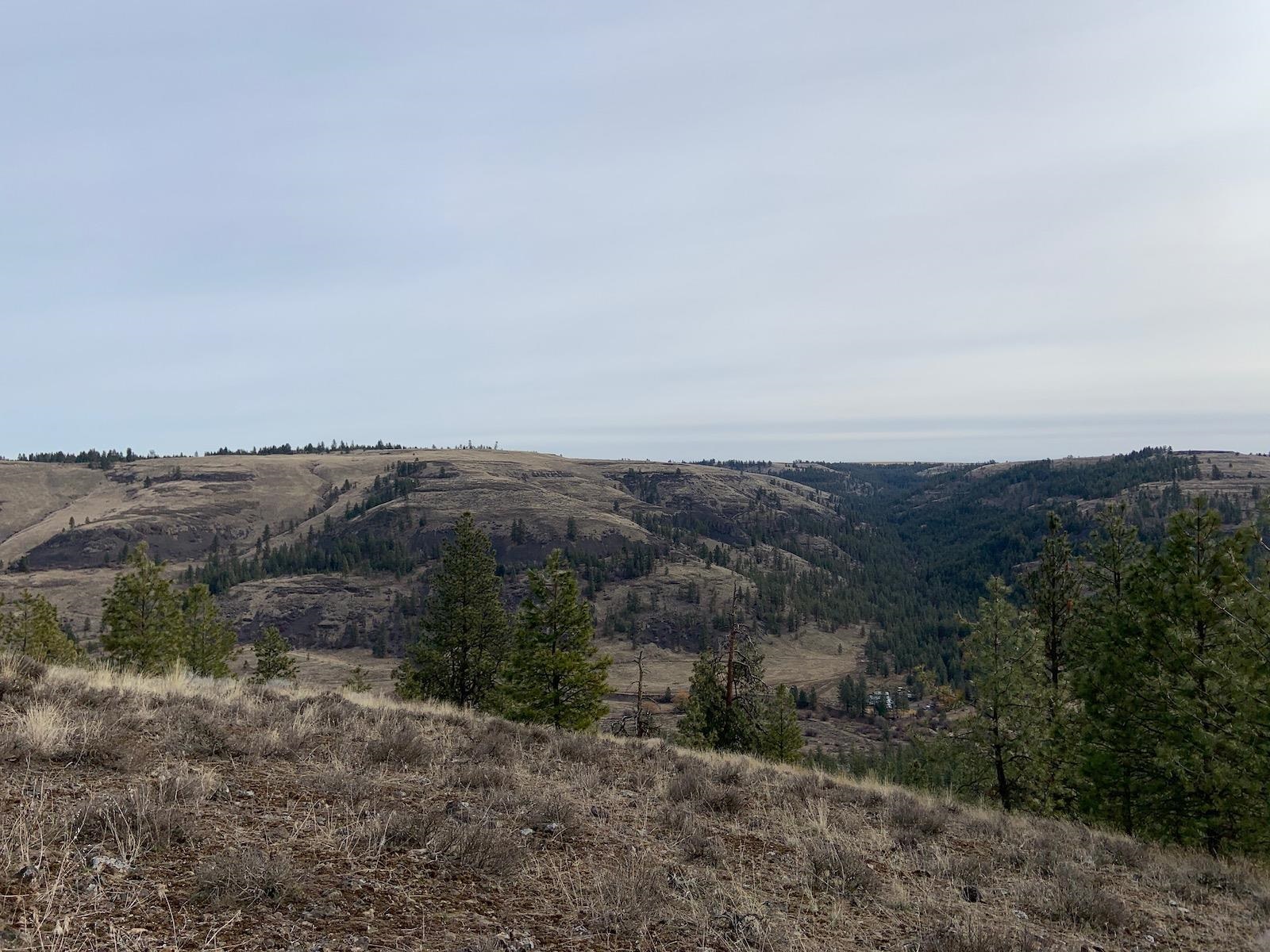 31805 Ruffed Grouse Drive Davenport, WA 99122 - Photo 9 of 29