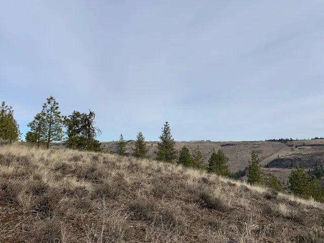 $92,500 | 31805 Ruffed Grouse Drive, Davenport, WA 99122