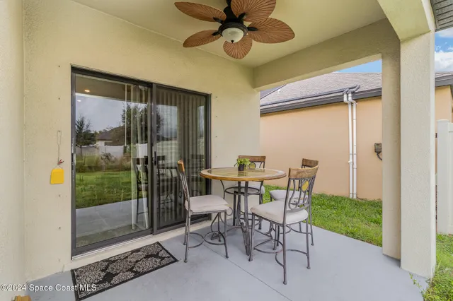 a view of a big yard with plants and large trees