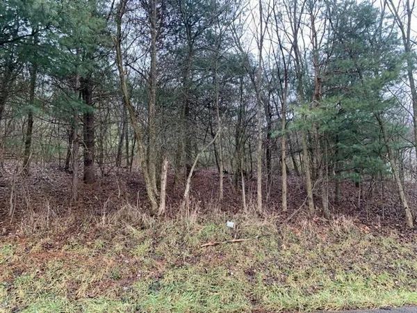 a view of small space with lots of trees