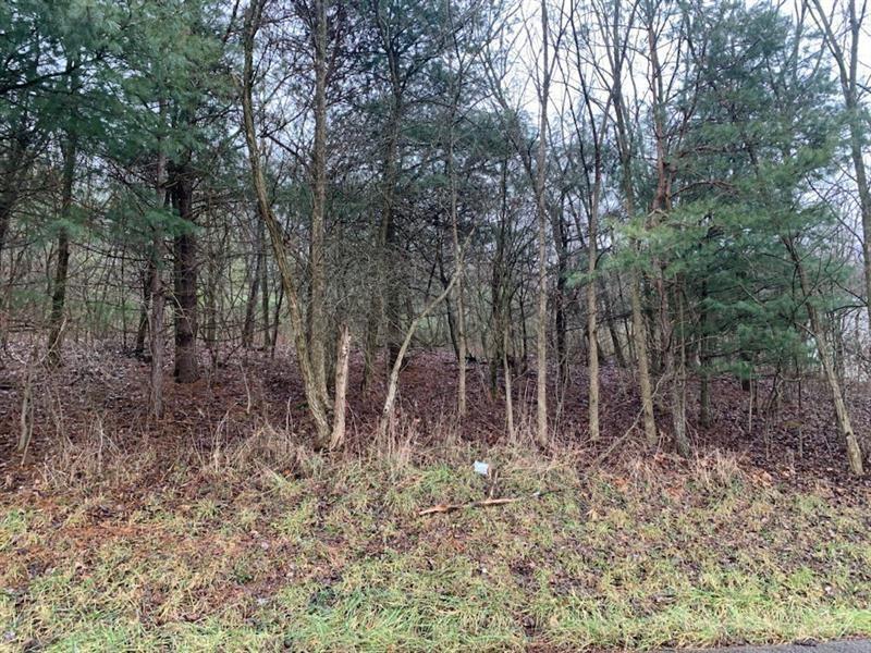a view of small space with lots of trees