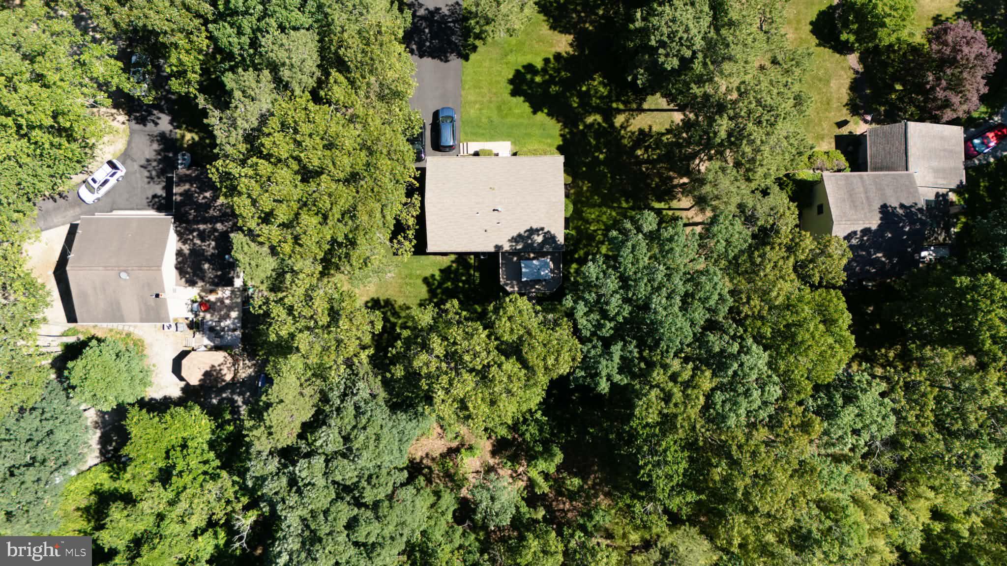 809 Anthony Road Atco, NJ 08004 - Photo 15 of 38 Partially wooded lot