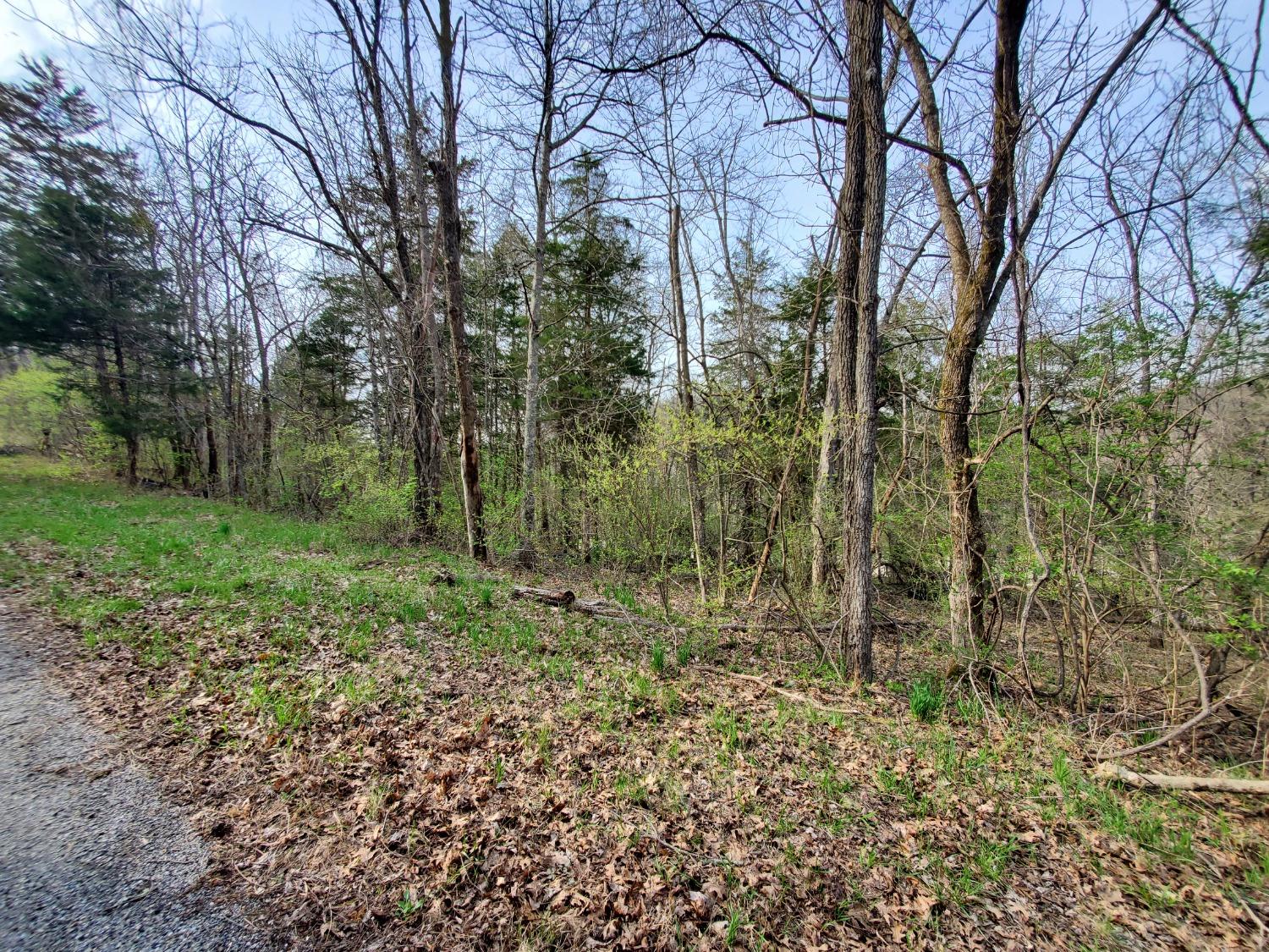 0 Smith Ridge Road Vevay, IN 47043 - Photo 3 of 26