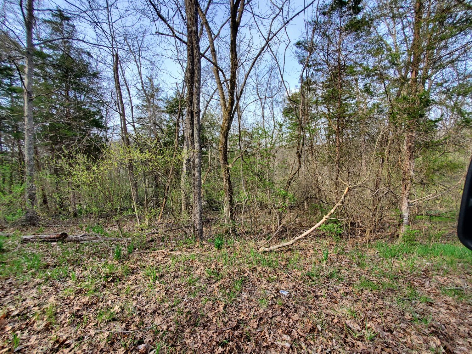 0 Smith Ridge Road Vevay, IN 47043 - Photo 4 of 26