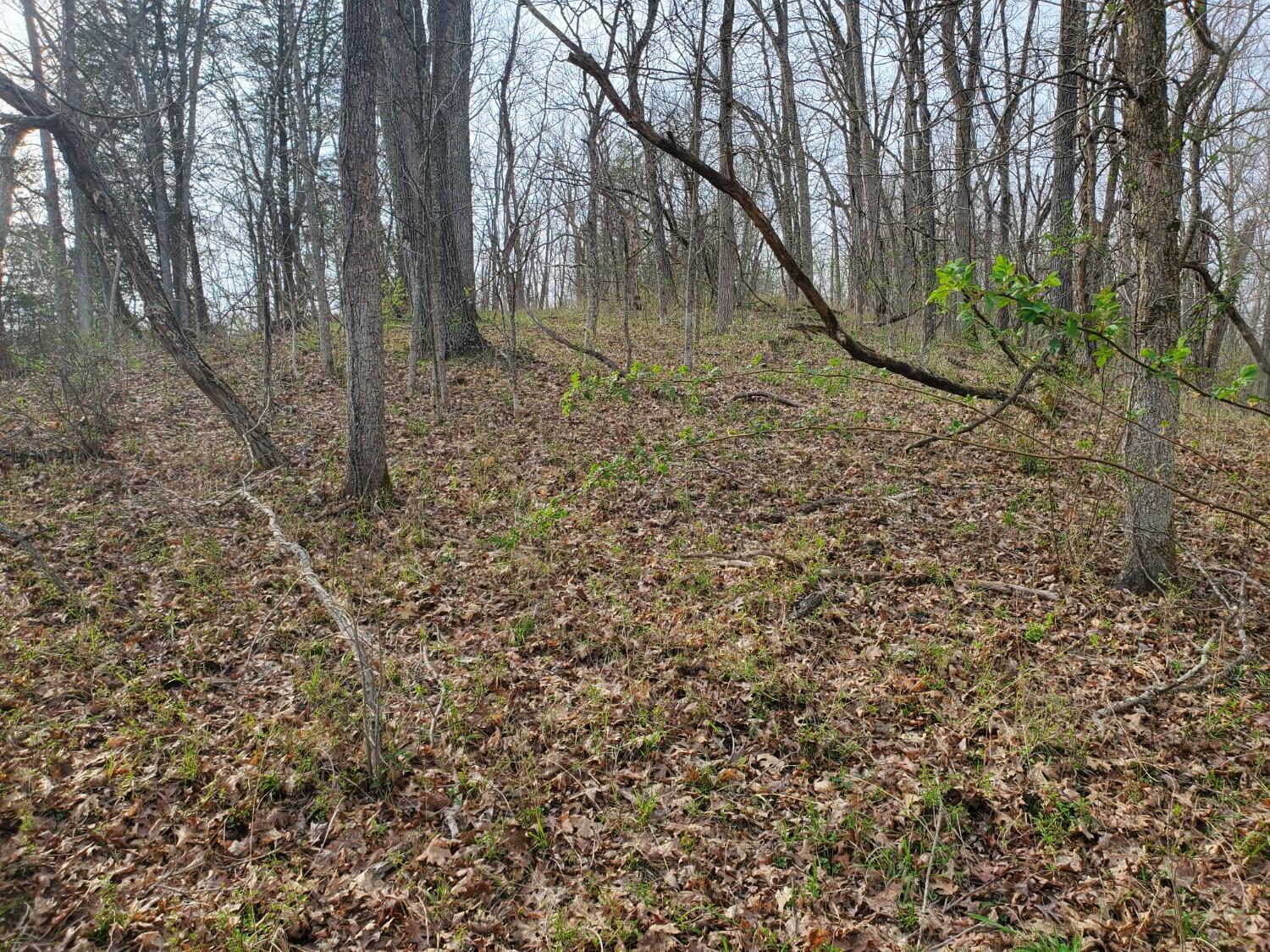 0 Smith Ridge Road Vevay, IN 47043 - Photo 9 of 26