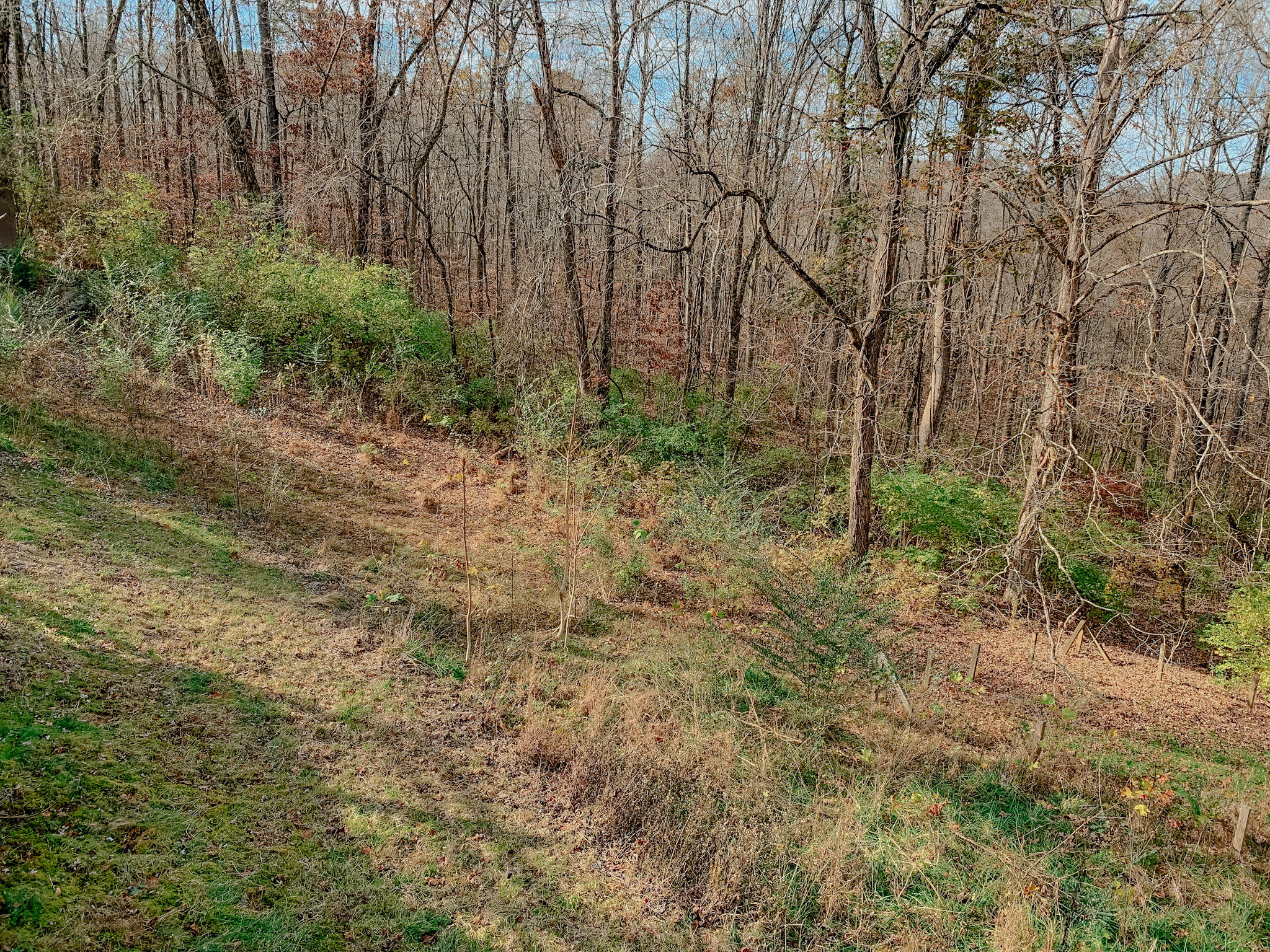 8565 Pedigo Road Powell, TN 37849 - Photo 14 of 31 IMG_4330