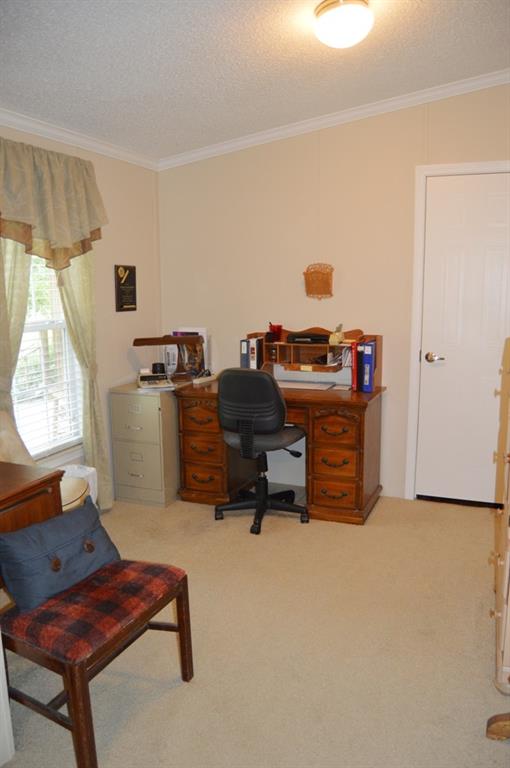 14 John Lacombe Road Alexandria, LA 71302 - Photo 8 of 18 Gallery Image 8