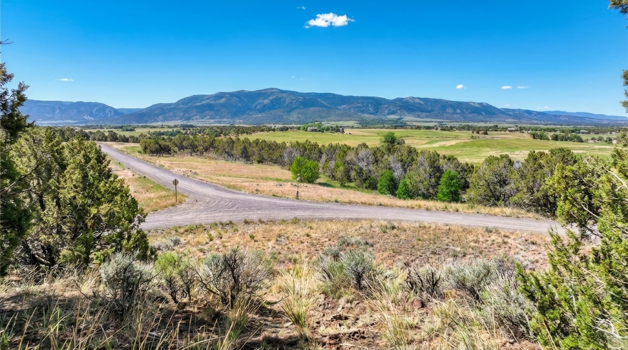 14375 Apache Way Collbran, CO 81624 - Photo 13 of 13