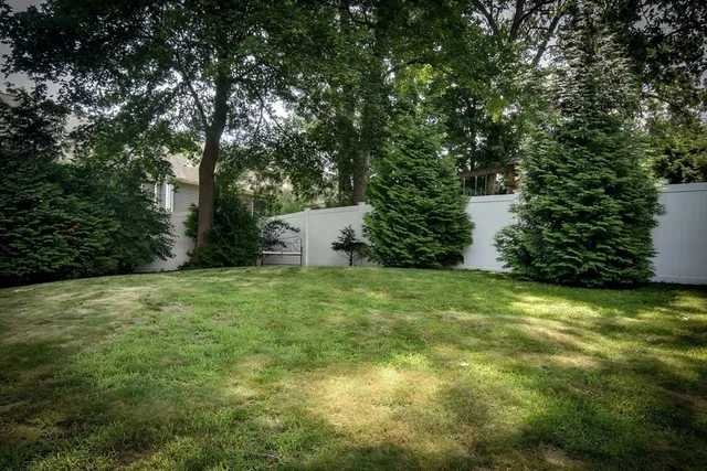 a backyard of a house with trees