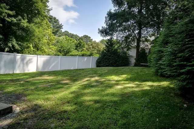 a view of a backyard