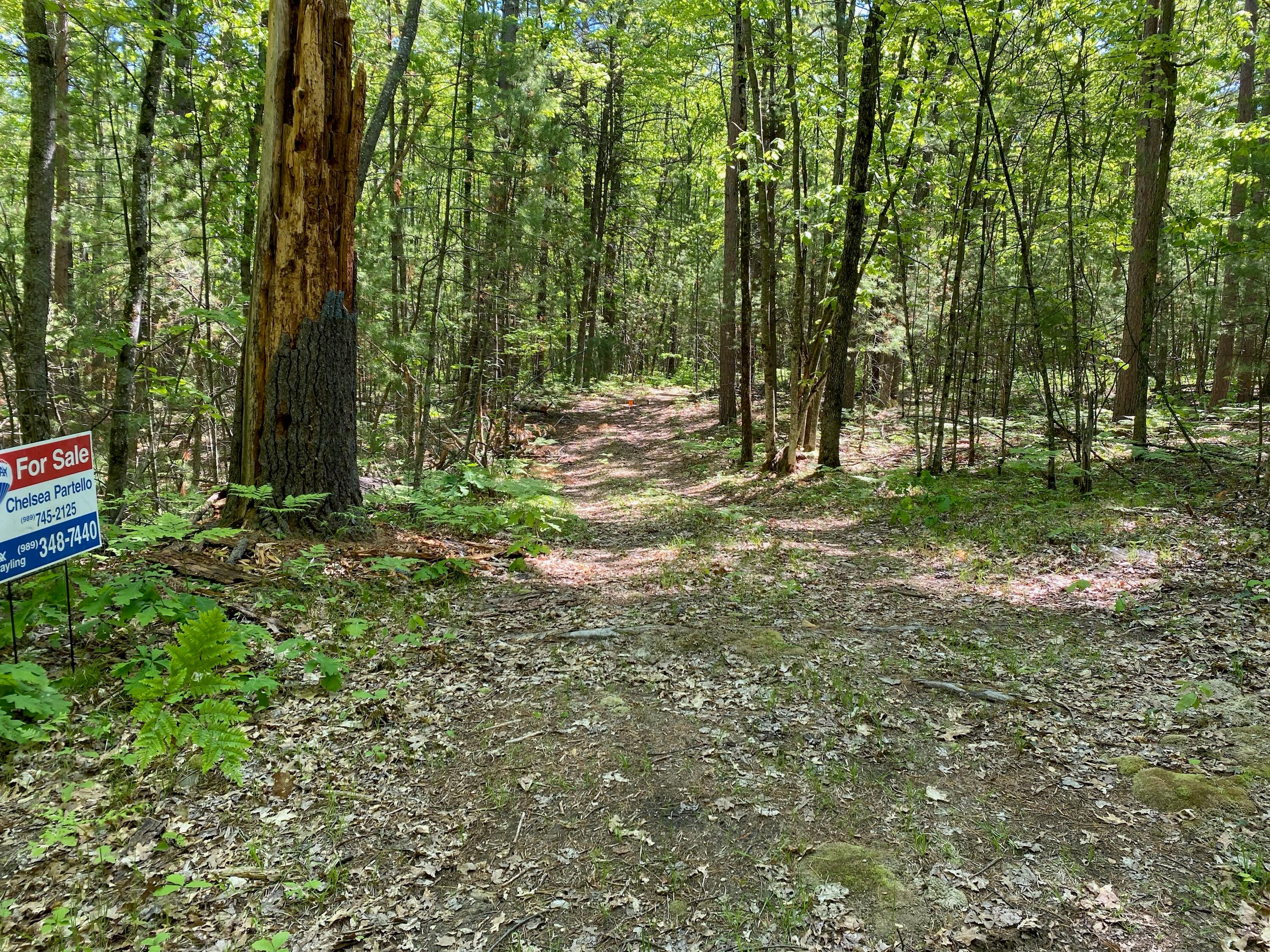 7103 Bell Top Lodge Road Roscommon, MI 48653 - Photo 6 of 6 Gallery Image 6