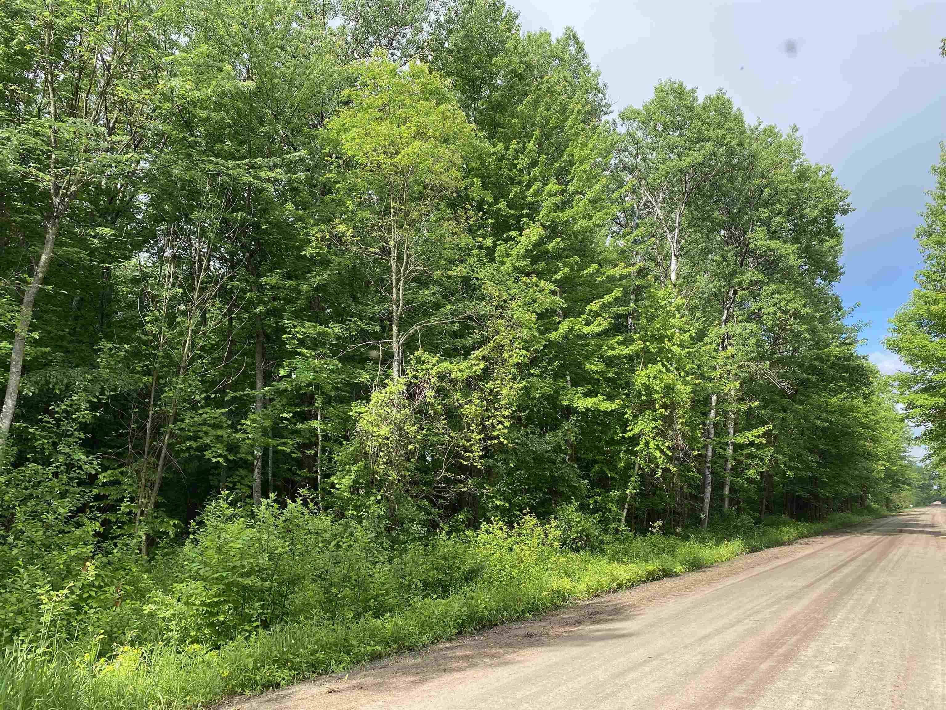 15991 Bentley Road Thompsonville, MI 49683 - Photo 1 of 19