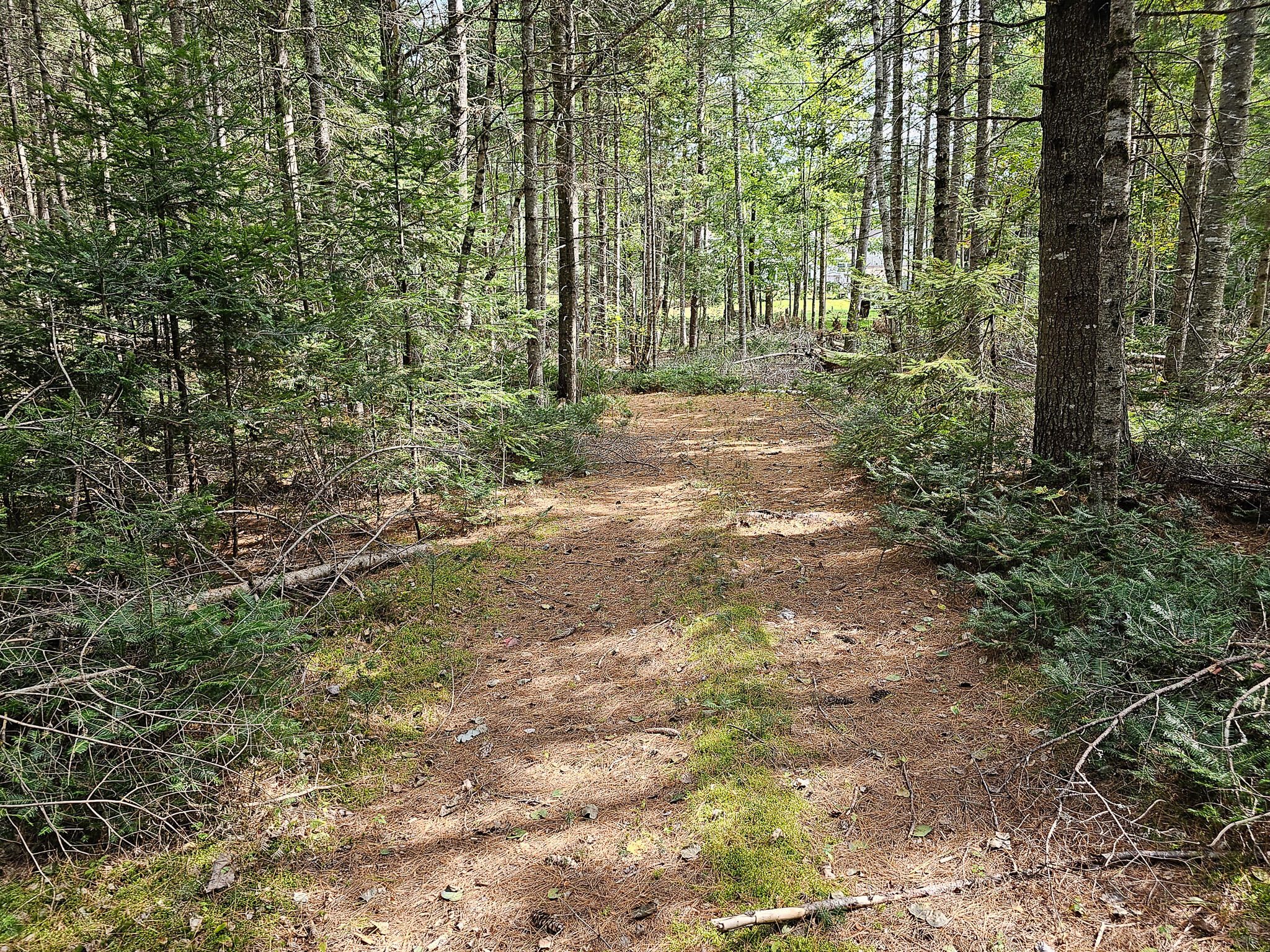 Lot 33 Off Dodlin Road Enfield, ME 04493 - Photo 25 of 27 20230926_122353