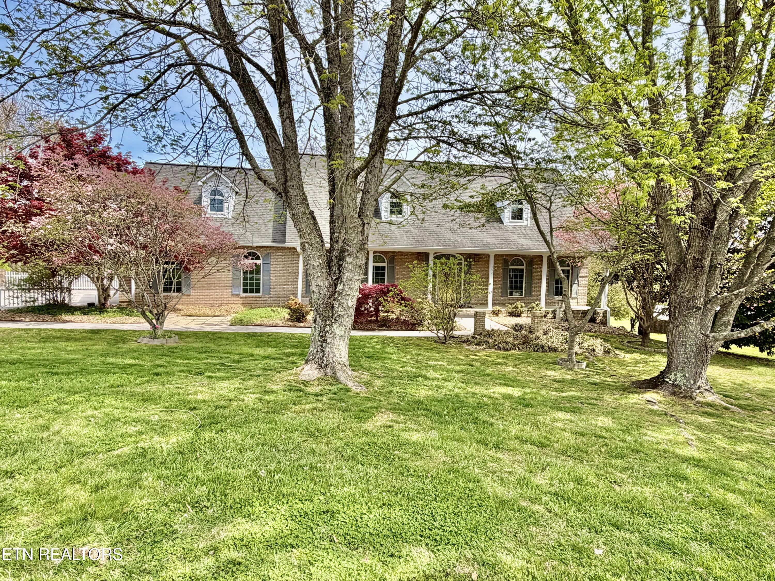 352 Rutherford Drive New Tazewell, TN 37825 - Photo 4 of 47 IMG_2824