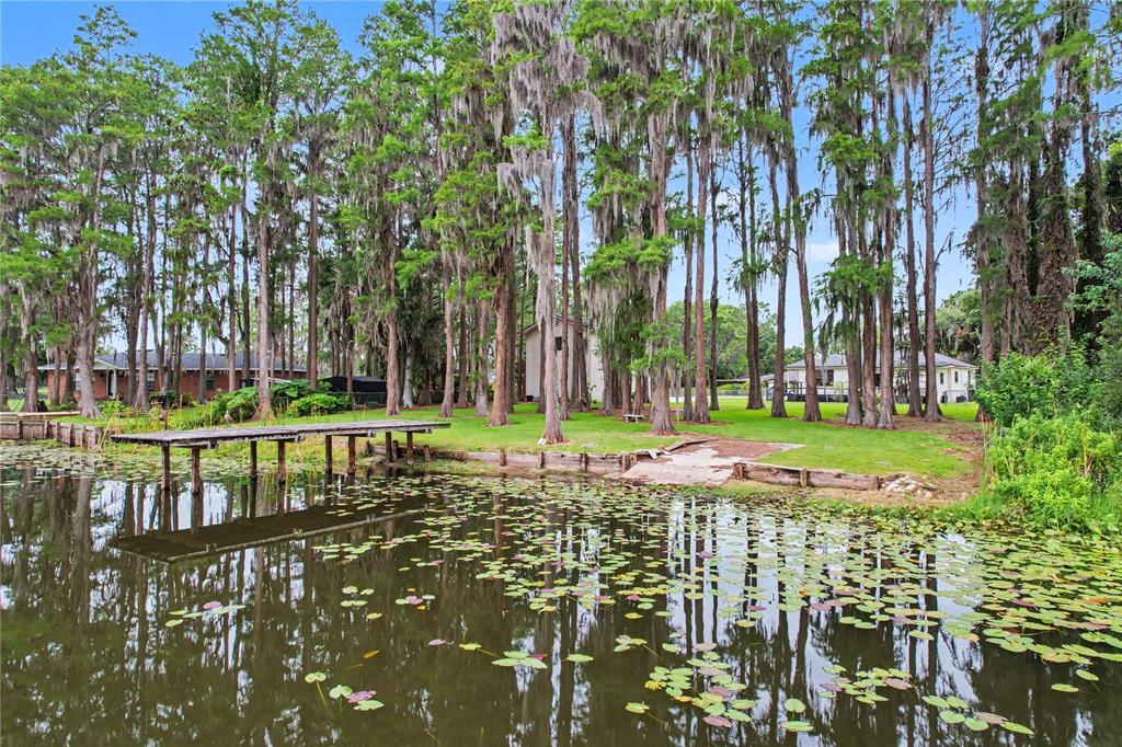 17305 Sherman Road Lutz, FL 33558 - Photo 79 of 89
