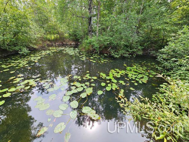 11 Snowfield Road Negaunee, MI 49866 - Photo 13 of 56 Gallery Image 13