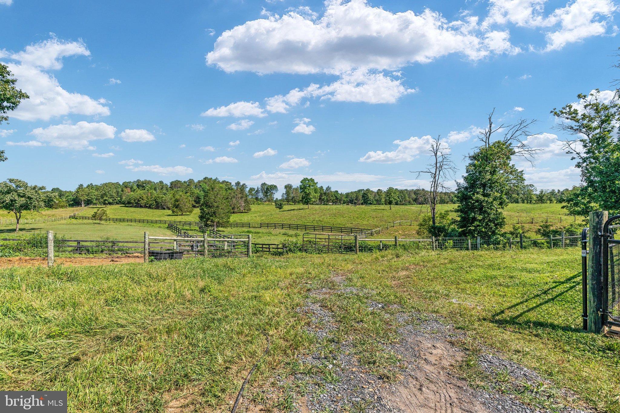 359 Ridgeway Road Front Royal, VA 22630 - Photo 90 of 136 2E6A7961_ 359 Ridgeway Rd - Absolute Altitude - 8