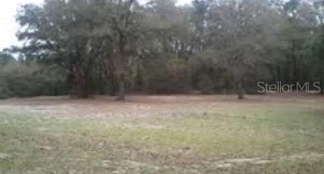 1509 Brunson Road Caryville, FL 32427 - Photo 1 of 1 Gallery Image 1